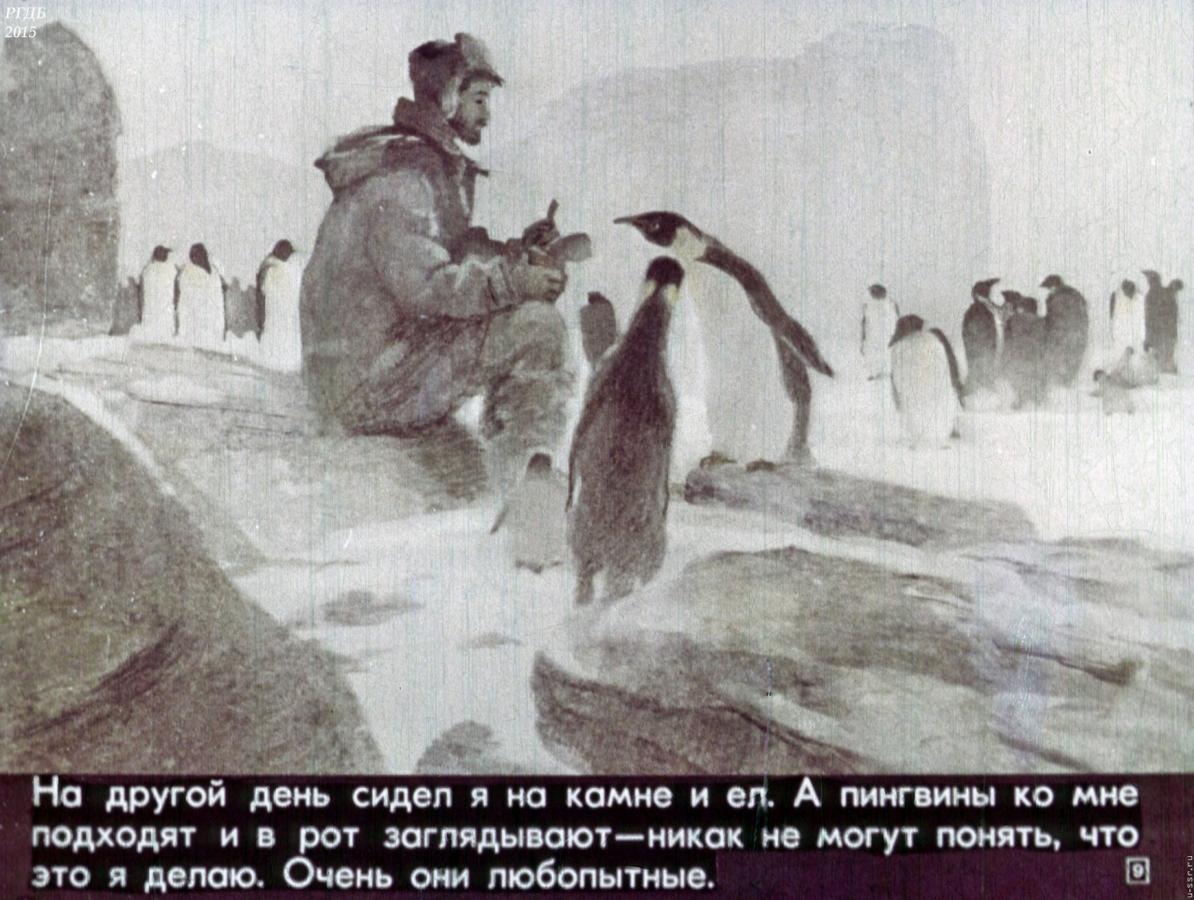 Пересказ рассказа про пингвинов старшая группа. Пингвины Снегирев любопытные. Г Снегирев Пингвиний пляж. Снегирев про пингвинов камушки. Г Снегирева про пингвинов рассказ.