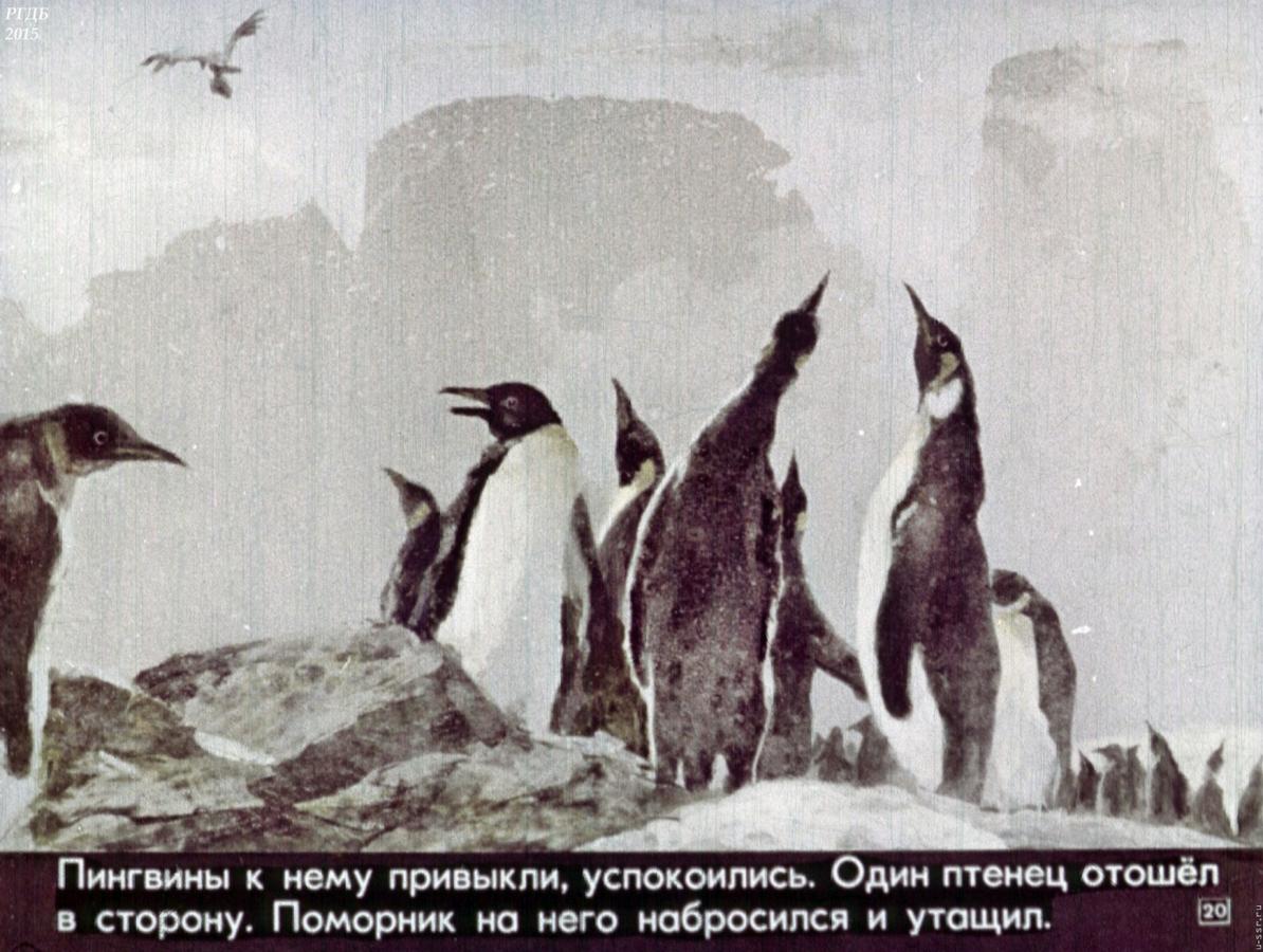 Чтение рассказов про пингвинов снегирева в старшей. Г Снегирев Пингвиний пляж. Г. Снегирёв "про пингвинов" 11. Рассказ про пингвинов Снегирева Пингвиний пляж. Г Снегирева про пингвинов.