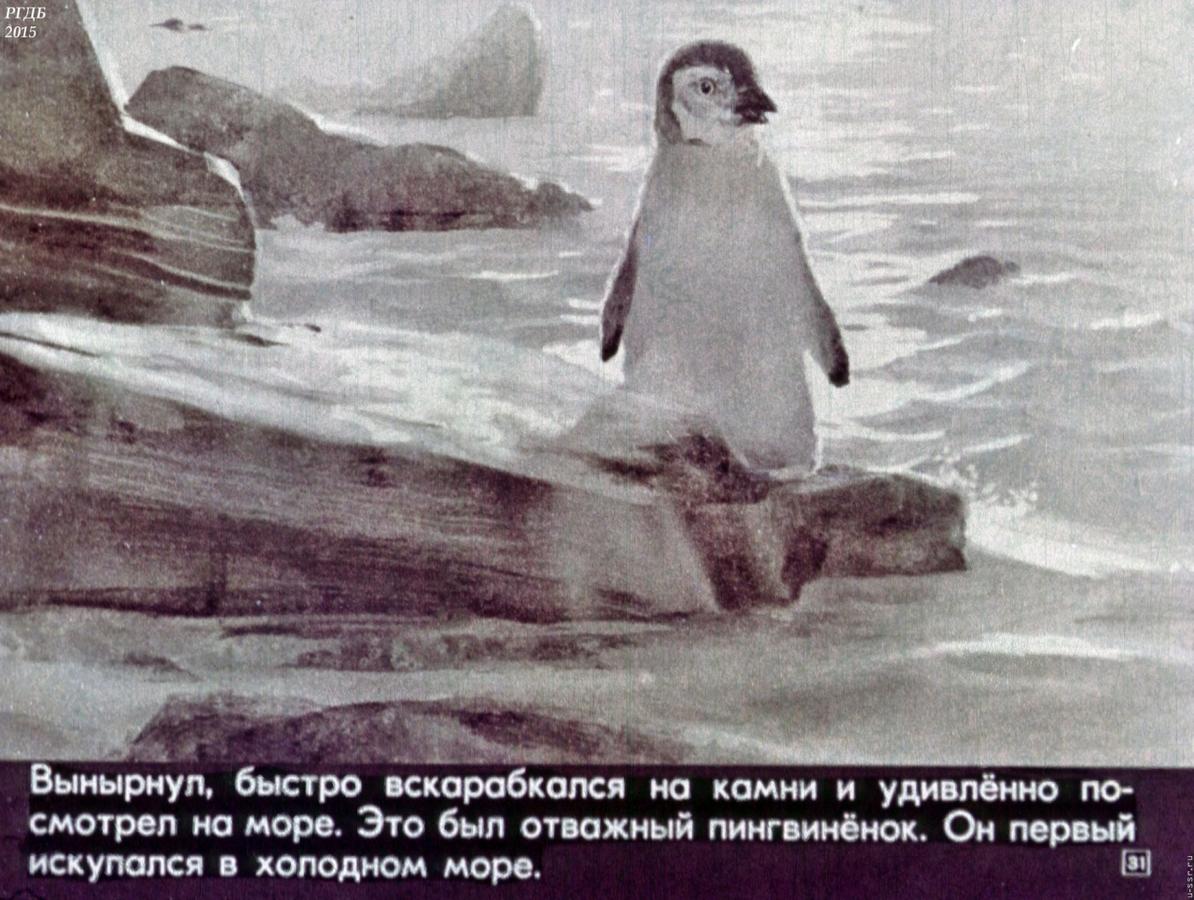 Пересказ рассказа про пингвинов старшая группа. Г. Снегирёв "про пингвинов" 11. Отважный Пингвиненок Снегирев. Г Снегирев отважный Пингвиненок. Г Я Снегирев отважный Пингвиненок.