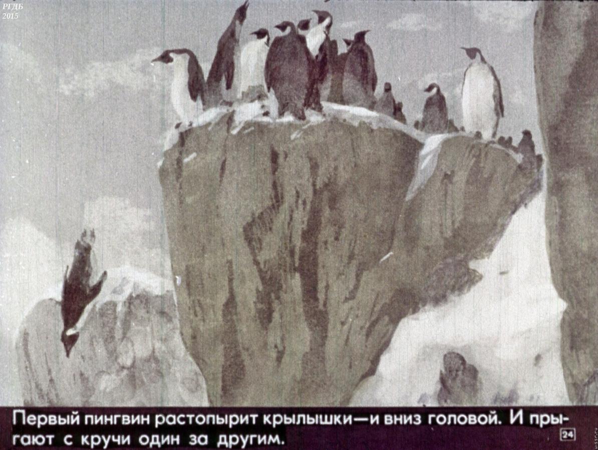 Пересказ рассказа про пингвинов старшая группа. Пингвиний пляж Снегирев. Пингвины Снегирев любопытные.