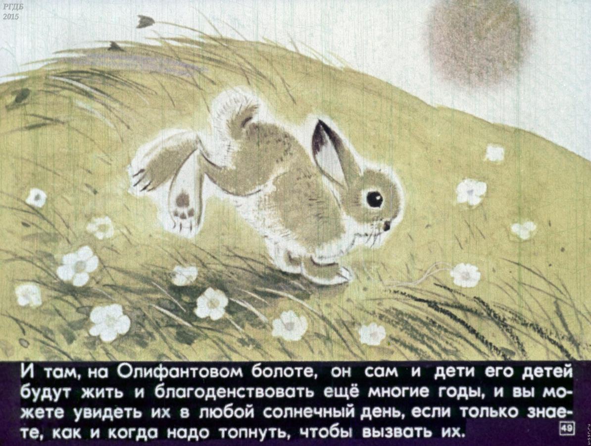 Заяц рваное ухо. Сетон-Томпсон рваное ушко иллюстрации. Иллюстрация к рассказу рваное ушко. Рваное ушко книга.