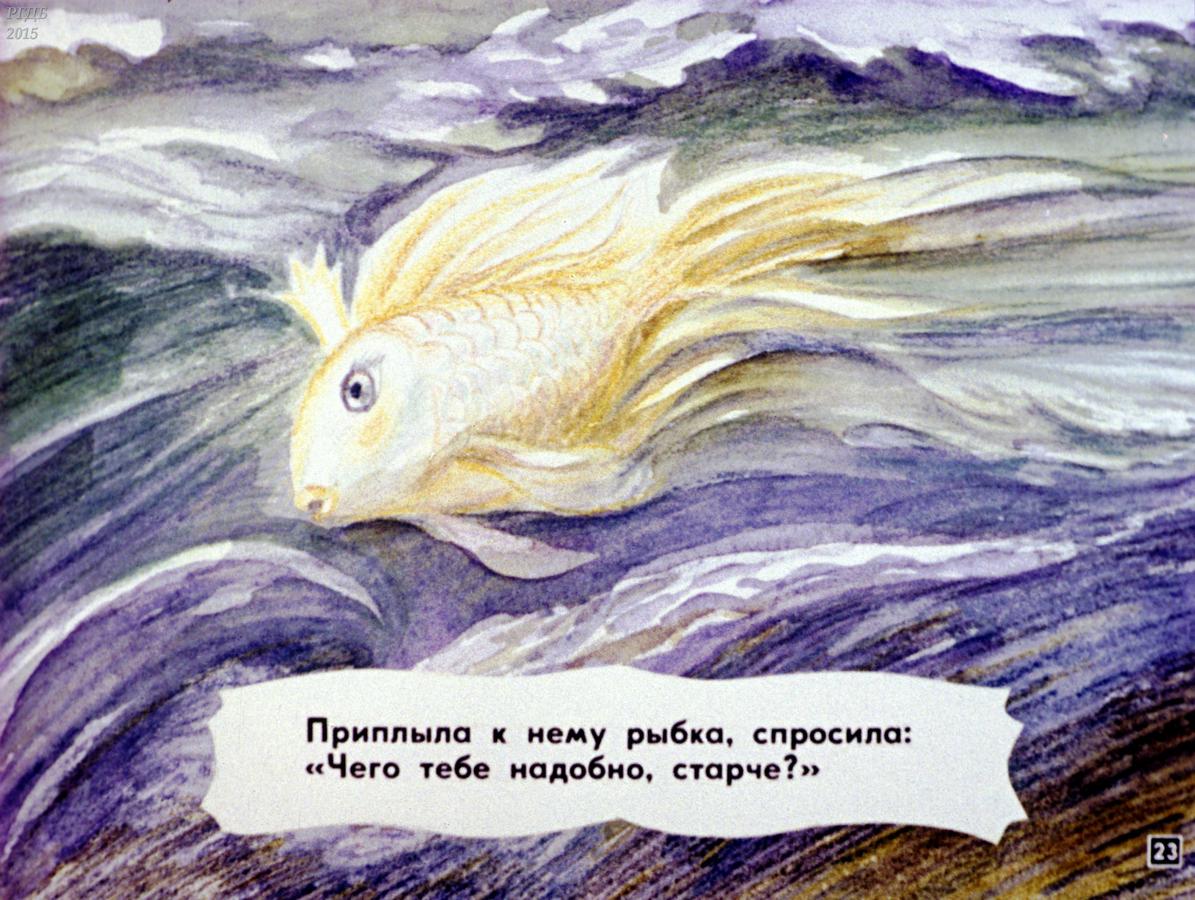 Сказка о рыбаке и рыбке сценарий. Золотая рыбка Пушкин диафильм. Сказка о золотой рыбке диафильм. Приплыла к нему рыбка спросила чего тебе надобно старче. Сказка о рыбаке и рыбке диафильм.