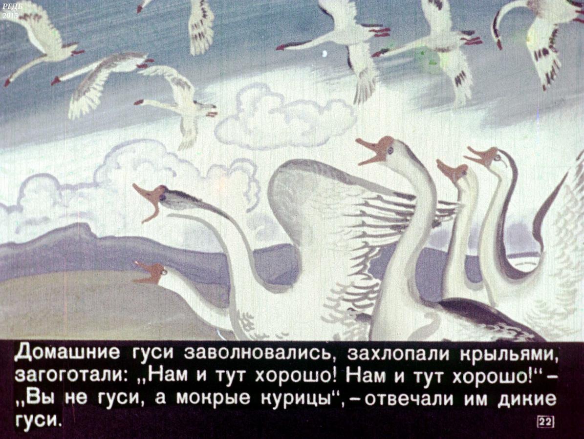 Борис Диодоров «Чудесное путешествие Нильса с дикими гусями» — Картинки и разговоры
