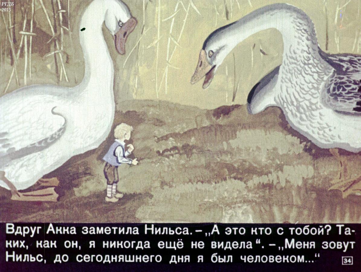 Дикий гусь автор. Сельма Лагерлеф чудесное путешествие с дикими гусями. Чудесное приключение Нильса с дикими гусями.