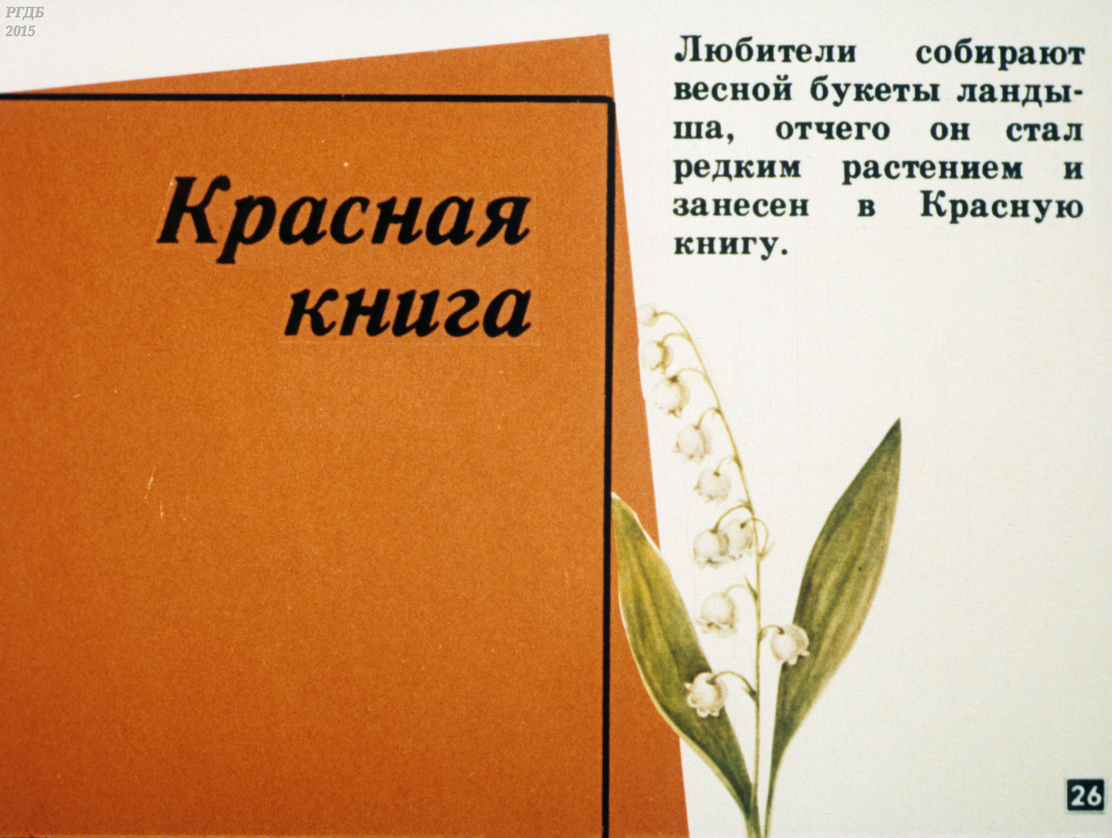 Тест класс однодольные 7 класс. Исследование СССР про растения.
